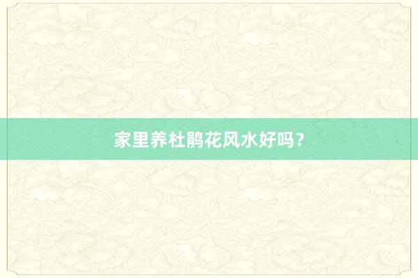 家里养杜鹃花风水好吗？