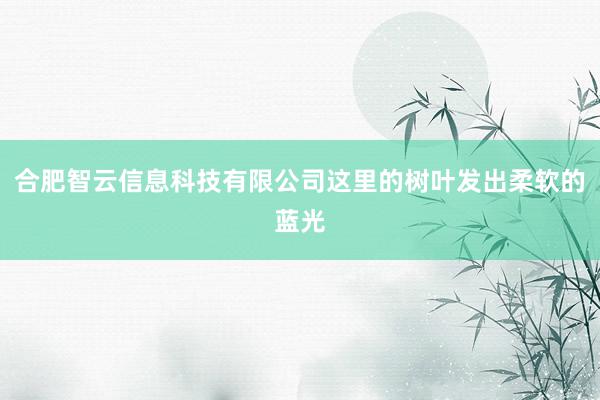 合肥智云信息科技有限公司这里的树叶发出柔软的蓝光
