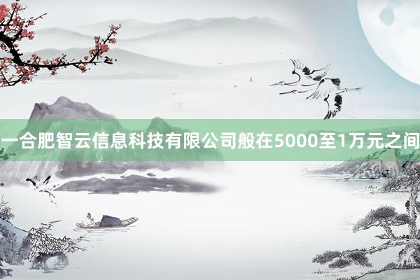 一合肥智云信息科技有限公司般在5000至1万元之间